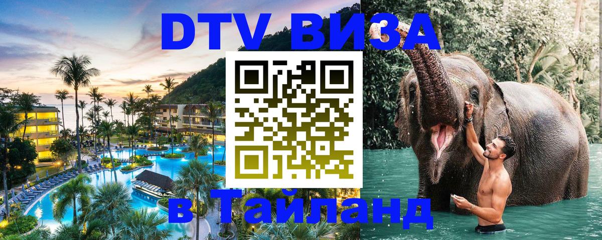 Оформление DTV визы под ключ: стоимость и тарифы, только загранпаспорт - Пятигорск 